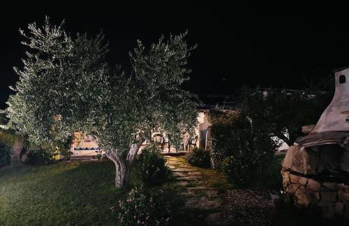 Cuccuru Relax - B IUN Q9882 - Foto 24