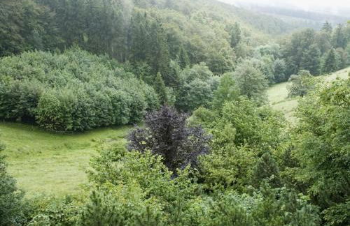 Holiday home in Schmallenberg with barbecue - Foto 18