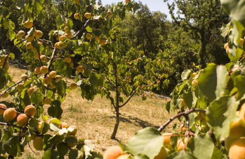 Agriturismo Aia Leccioni - Foto 45