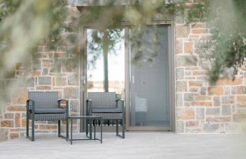 PETRINO FOINIKOUNTA - Foto 11