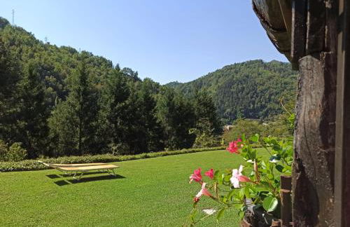 IL Bosco di Campo Marzano Sunlight - Foto 32