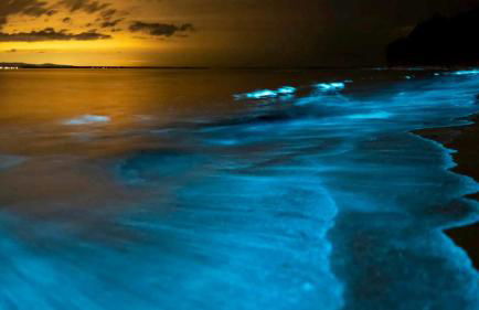 Casa Camiño dos Faros - Foto 14