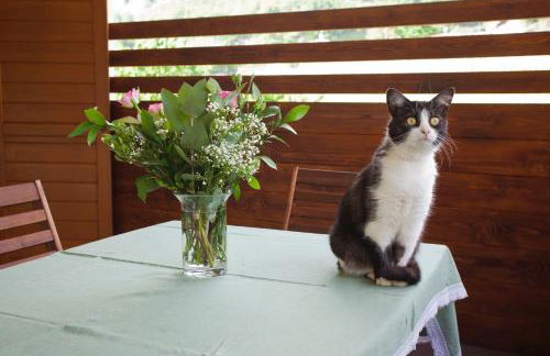 Casa al Molino - Photo 19