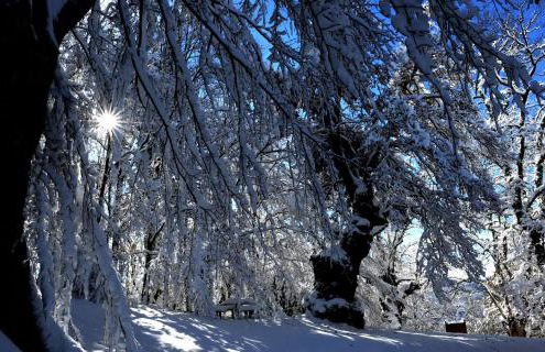 Caserio Arrigorri excelente ubicación jardín con BBQ perfecto para grupos - Foto 58
