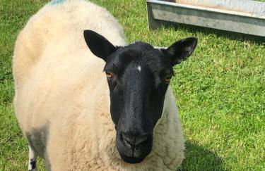 Eden House Retreat - Foto 15