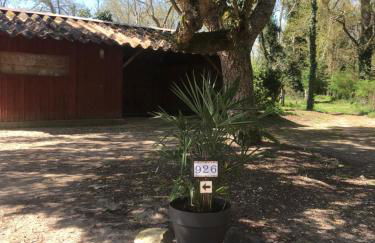 Maison à louer - Foto 6