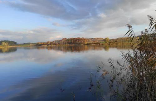 Agroturystyka Stawno49 - Foto 15