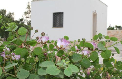 La pietra di Luca guest house - Foto 47