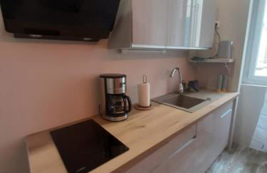 3 Apt T2 COSY de 40 à 50 M2 Idéal pour un déplacement PRO " Les IRIS " - Foto 38