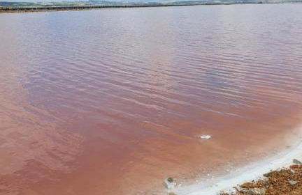 Lago Jardin , CHILL CASA - Foto 22