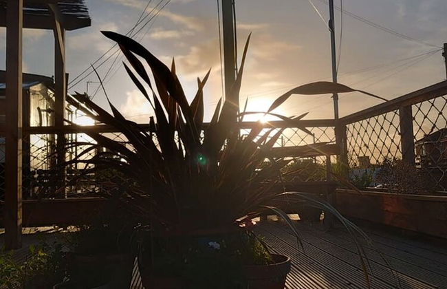 The Crabshack Cottage Normans Bay Pevensey - Foto 50