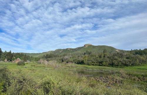 3076 W Highway 160 - Main House - Foto 64