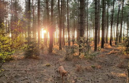 Bonneys Barn Retreat - Luxury homely getaway - Photo 30