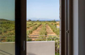 Azari Lifetime Memories - Photo 15