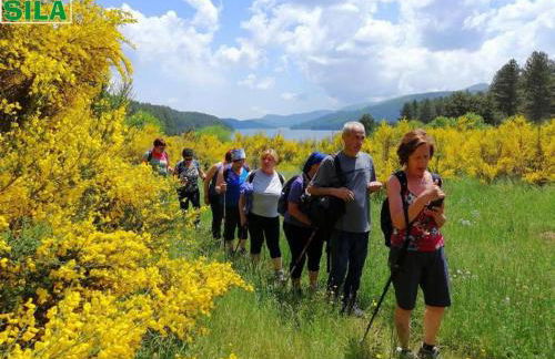 La Mia Valigia “Casetta Fragolina” - Foto 34