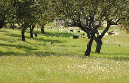 Casa da Aldeia - Foto 32
