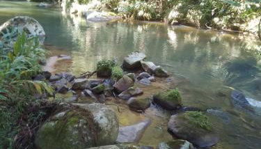 Rancho Maria Flor - Foto 2