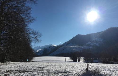 Charmant appartement sur cour, Le Cerisier - Foto 15