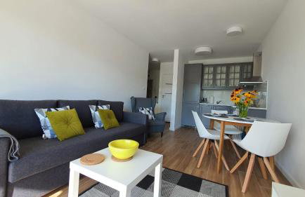 APARTAMENT WILKASY II (k. Giżycka ) - Foto 4