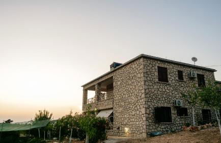 Fterini Apartments Sterna & Alletri - Foto 31