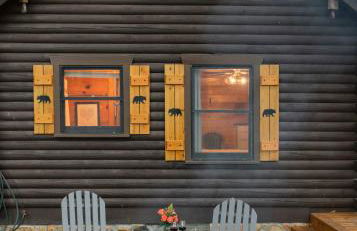 Log Cabin with Mountain View and Privacy - Foto 3