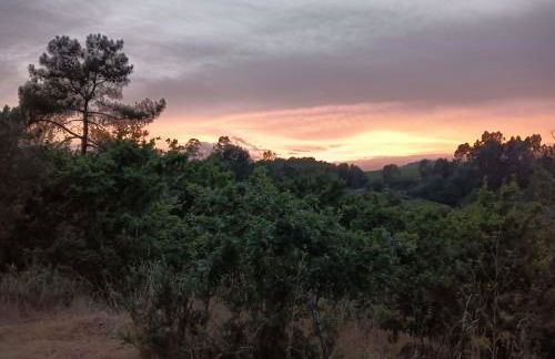 A Parrula, Mar, río y montaña - Foto 25