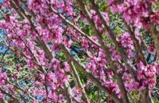 Studio indépendant à la Villa Garlaban 3 étoiles - Foto 32