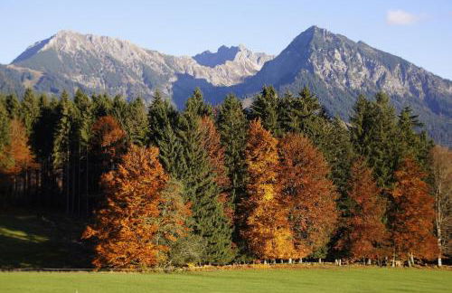 Allgäuer Bergblick - Foto 24