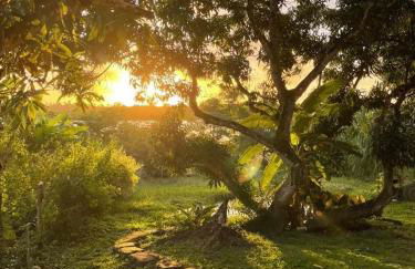 Vila Marés - Foto 7