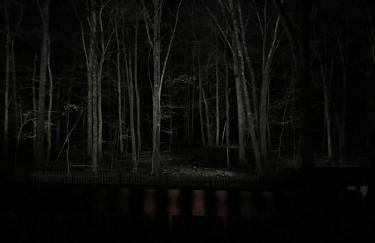 Poconos Modern Chalet I Hot Tub I Home Theater I Fenced Yard I Pet Friendly - Foto 72