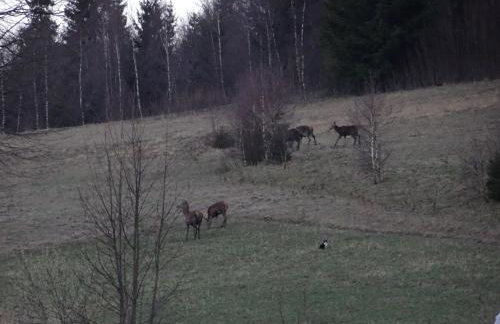 Apartament Czar-nów - Foto 74