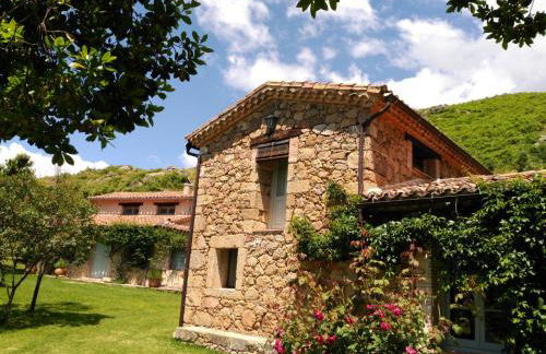 Abejas 1 de El Vergel de Chilla - Foto 70