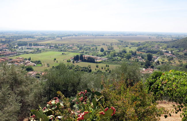 L'Uccelliera - Foto 2