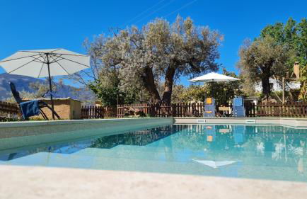 Tropical Studio - Foto 47