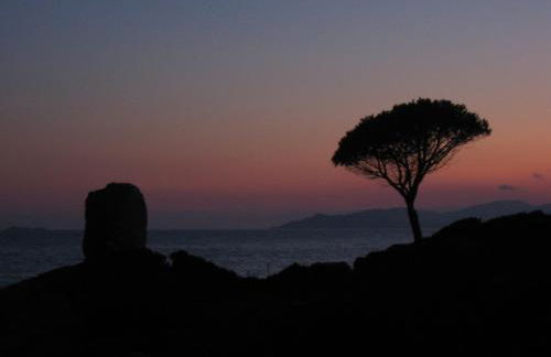 Abba Arrubia - Foto 29