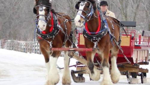 Cozy Wintertime Nantucket Cottage Getaway - Foto 5