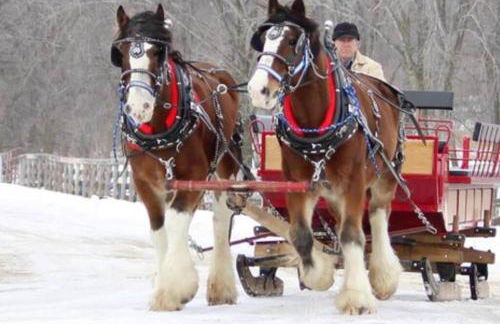 Cozy Wintertime Nantucket Cottage Getaway - Foto 5