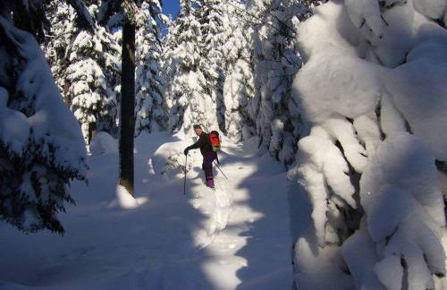 Haus Eicher - Foto 25