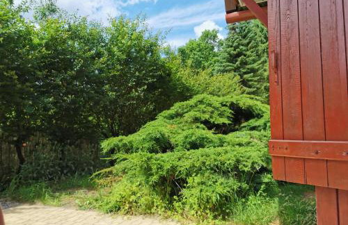 Domek w Brodnicy Dolnej - Foto 17