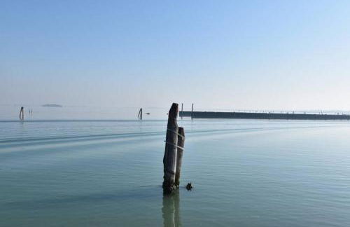 L' incantevole paesaggio della laguna di Murano - Photo 21