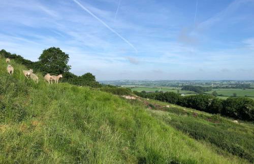 Adorable one bed cottage in rural idyll - Foto 43