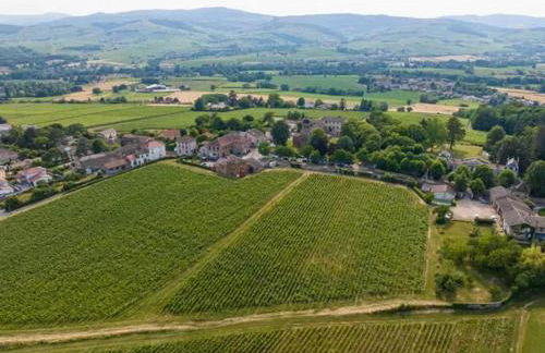 Appartement charmant à Charnay-lès-Mâcon avec jardin - Foto 26