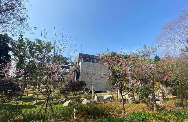 The Forest Museum - Photo 42