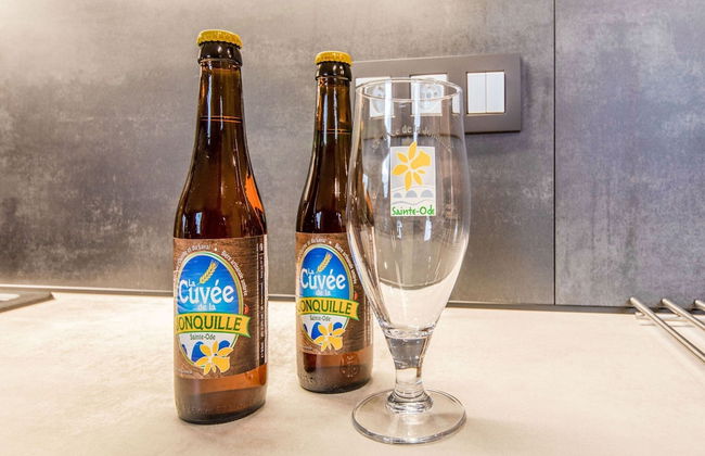 Modern Holiday Home in Lavacherie - Photo 23