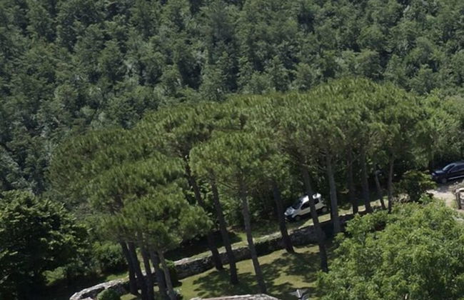 Fortilizio 6 in Rapolano Terme - Foto 8