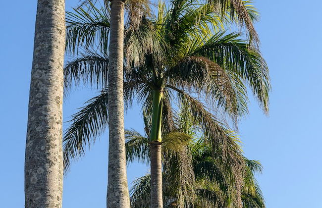 San Lameer Villas - Foto 3