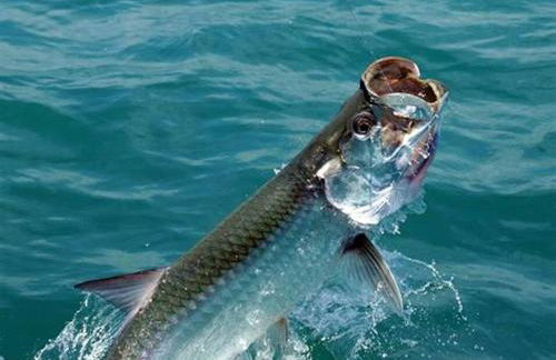 Luxury Waterfront Home With Heated Pool & Hot Tub - Foto 48