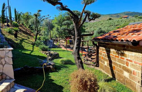 B&B Luisana Rural Guesthouse - Foto 4