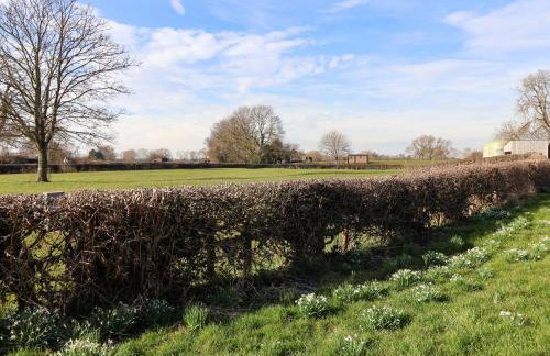 Elm Tree Cottage - Foto 24