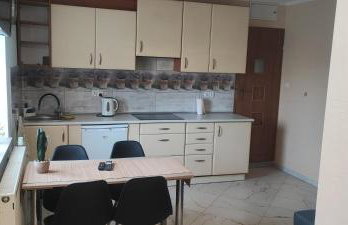 Noclegi kawalerka apartament w centrum Dzierżoniowa podwórko grill wynajm krótkoterminowy - Foto 8